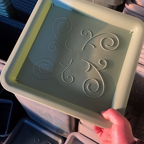 树脂浅绿方形4托5个