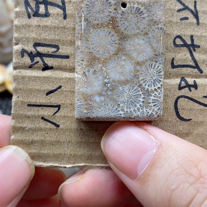 硅化珊瑚（珊瑚玉）颈饰未镶嵌