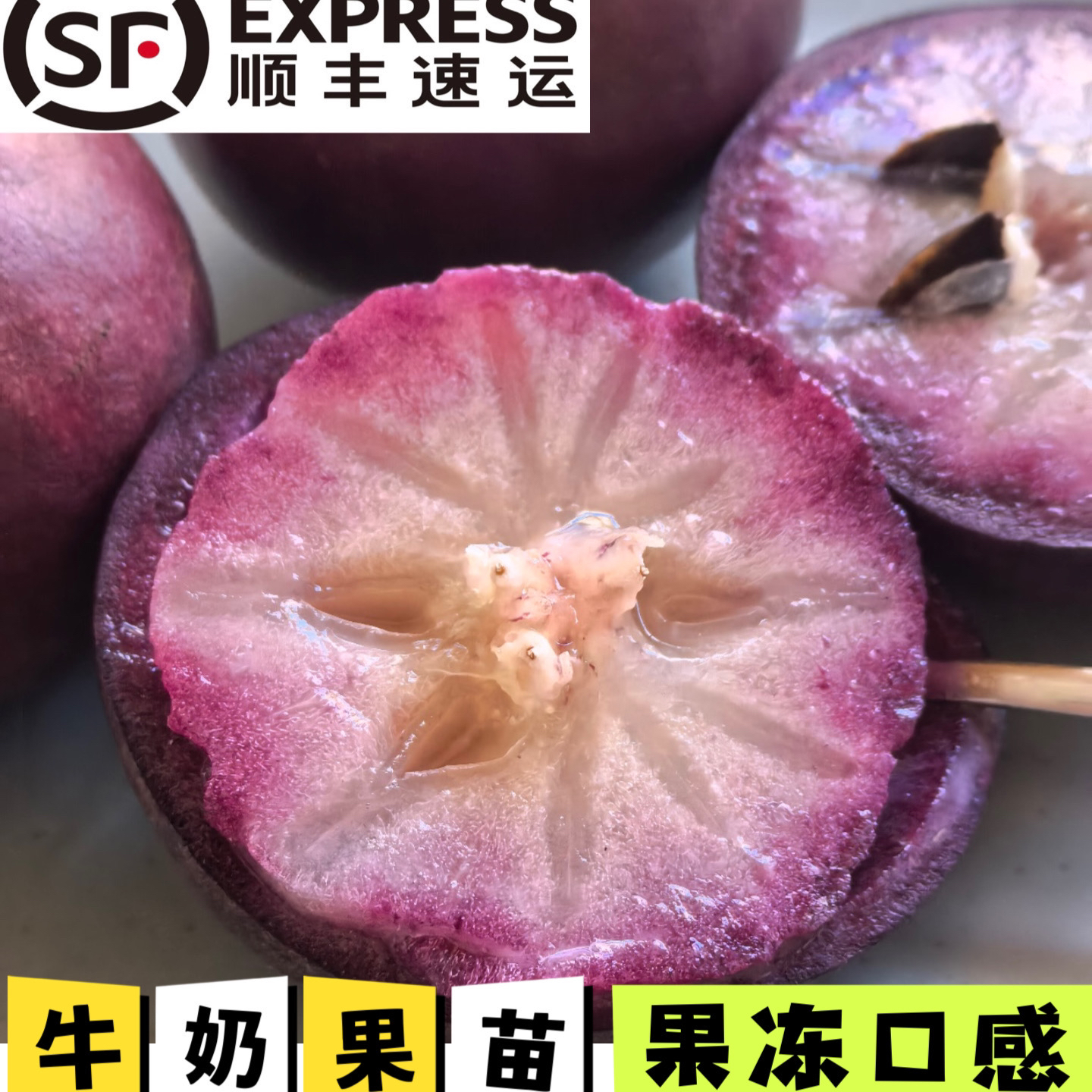 牛奶果紫皮青皮果靠接苗两年苗（带杯带叶）
