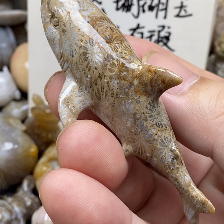 硅化珊瑚（珊瑚玉）未镶嵌颈饰