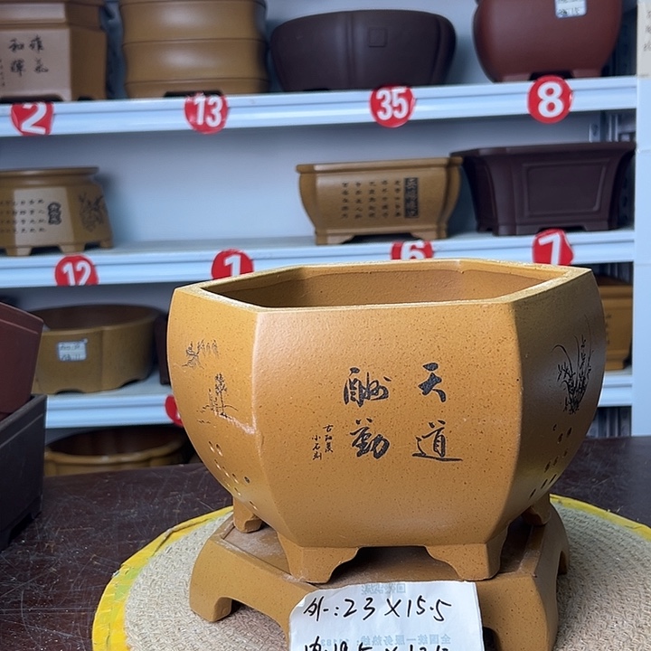 紫砂花盆你在一起