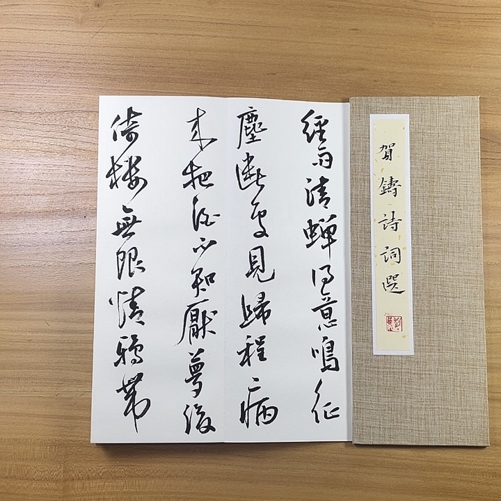 书法中书协会员作品