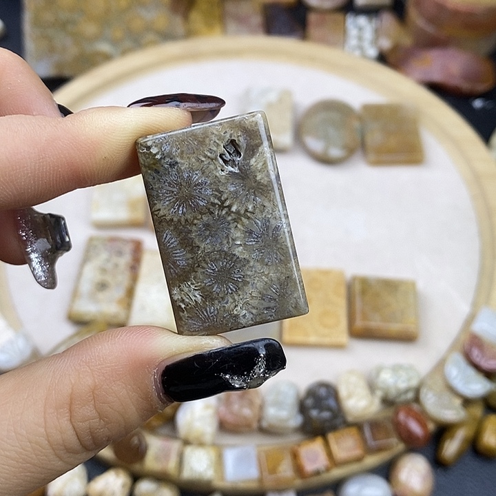 硅化玉未镶嵌颈饰10