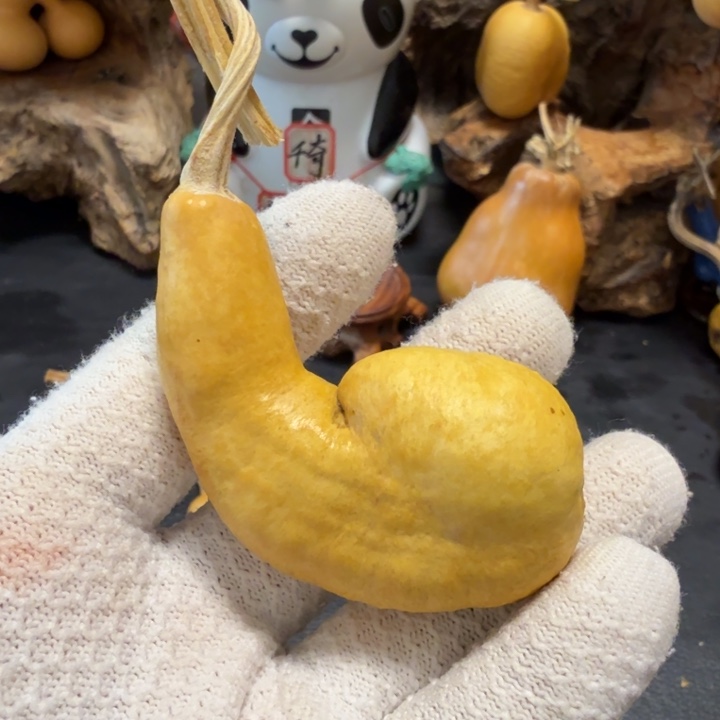 【***】66666666666666666777