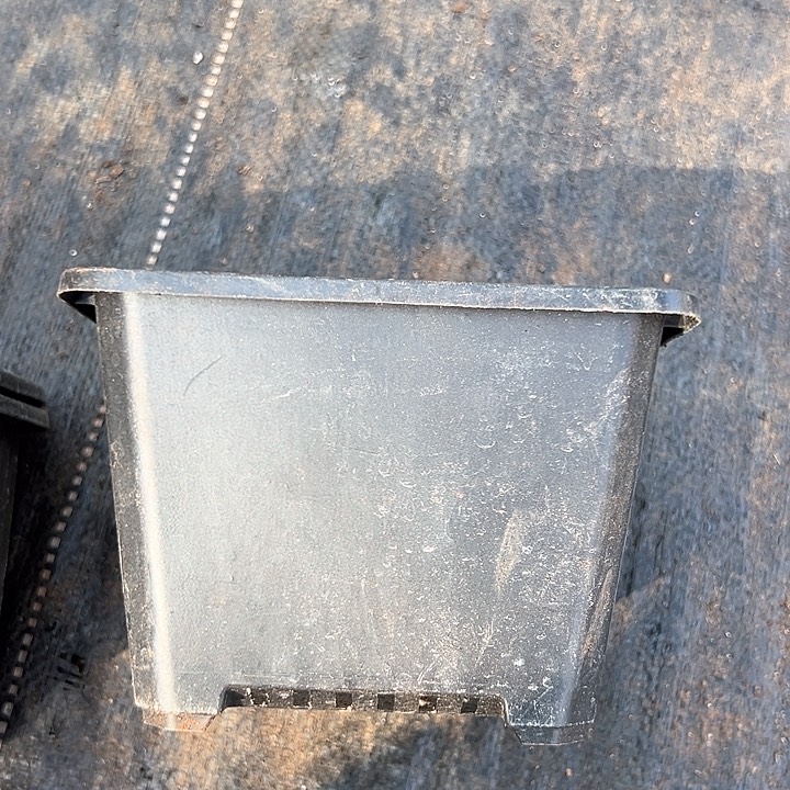 塑料口径15.5高度11黑方一组10个