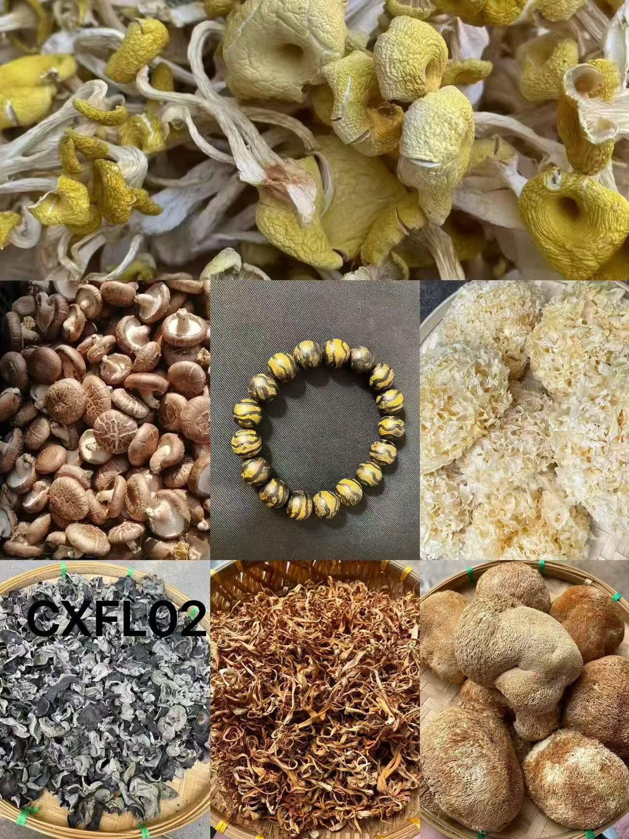 阿浩专属土特产》（多样性发货）CXFL02重量18g