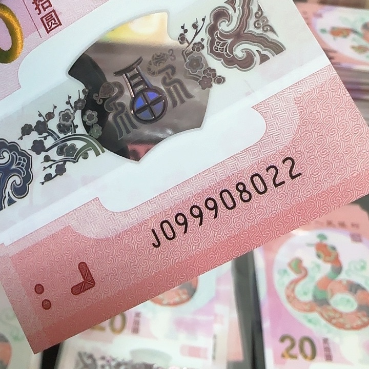 塑料蛇钞关门冠朦胧龙珠099908022