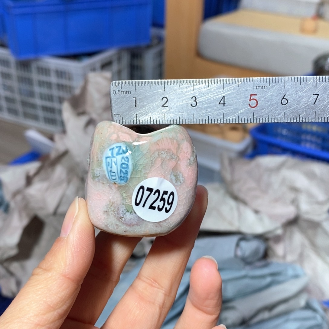 花盆拍3送一个小礼物