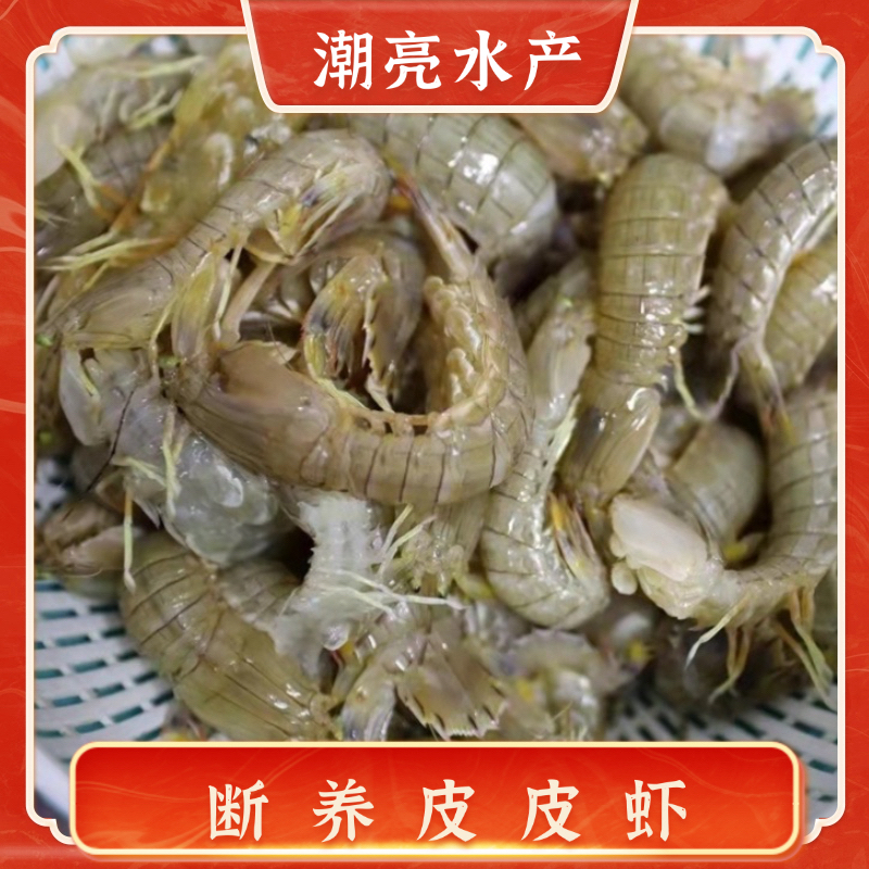 天津本地断养皮皮虾6斤，大小都有