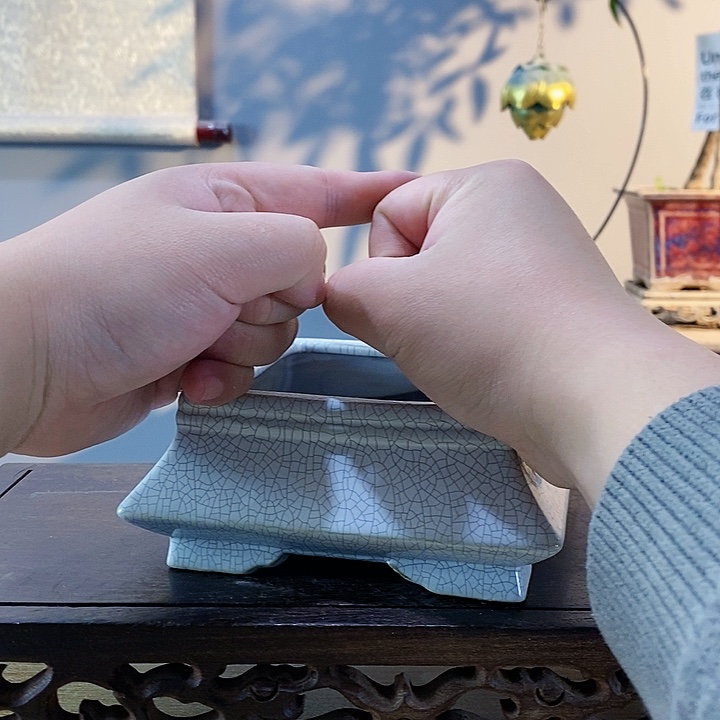 111444411111111到手10个