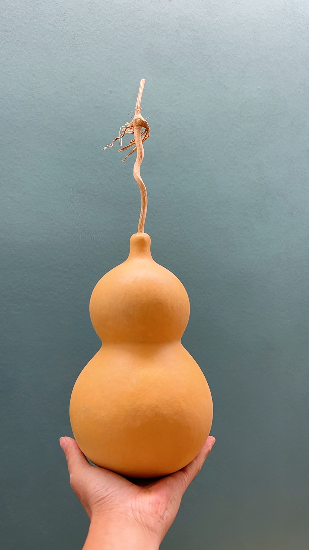 中号八宝葫芦 各种葫芦（默认微瑕）  直播间专用