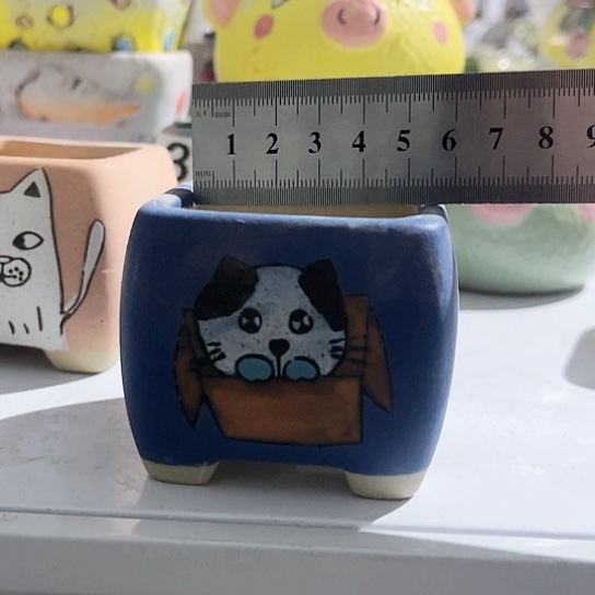 多肉植物花盆花盆