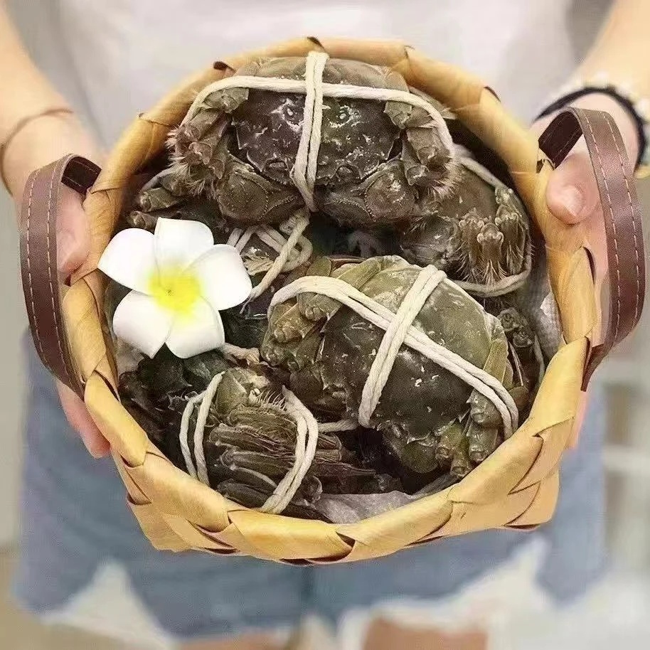 【活蟹】兴化红膏大闸蟹母蟹2.6-2.4两8只送2只共10只