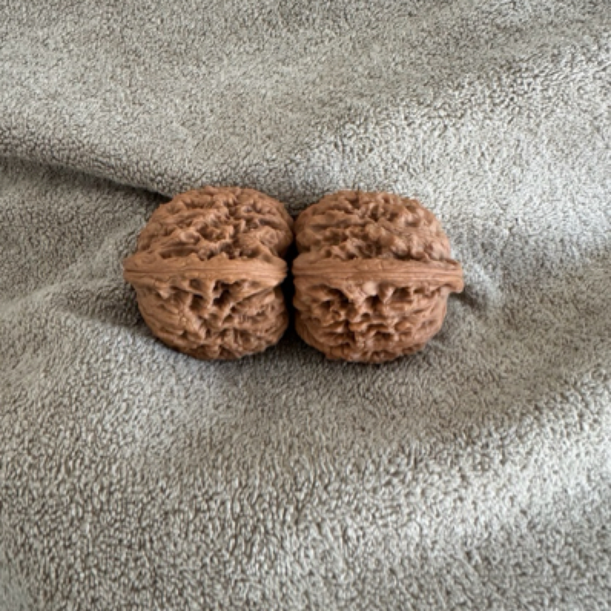 正宗逐鹿南将疆石39