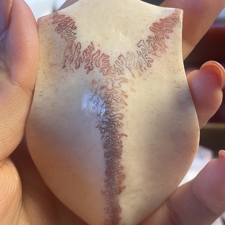 牛***王养殖鹿骨三界牌子