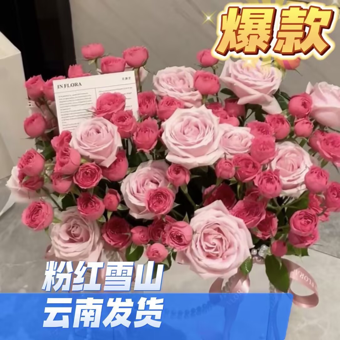 粉色系玫瑰苏菲泡泡玫瑰云南昆明基地直发同城速递家庭插花包邮花