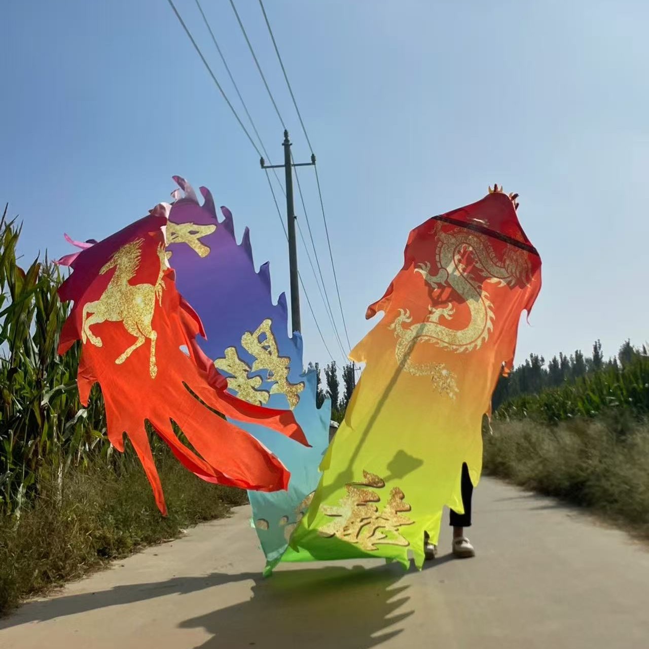 格曼全套新款一体马到成功彩绸可水洗健身龙