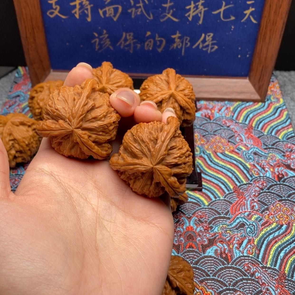 【闪购商品】M****r白狮