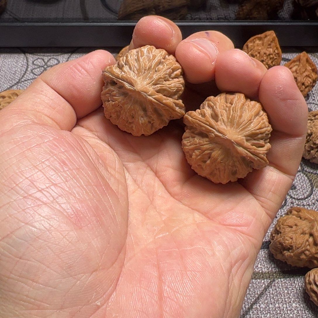 ****n龙脊菩提吊坠铁锤