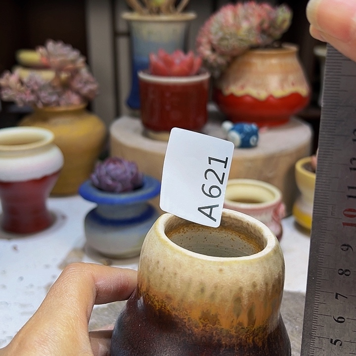 景德镇陶瓷2单包邮