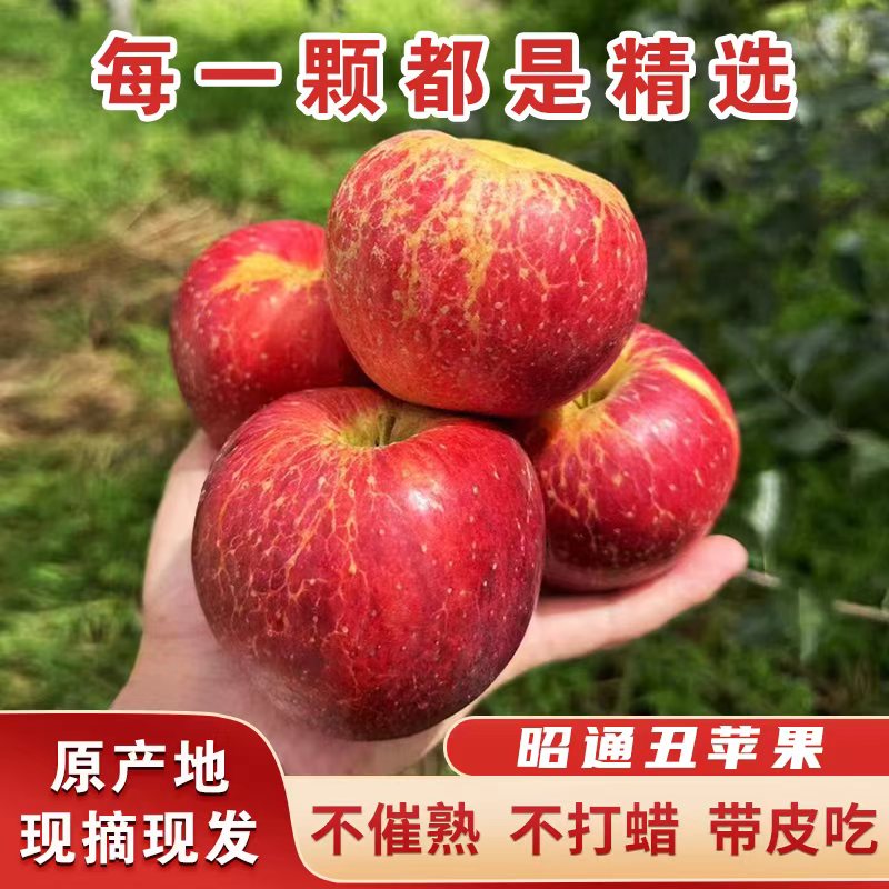 当季云南昭通冰糖心丑苹果现摘现发冰糖心苹果新鲜