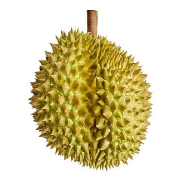 新鲜  泰国榴莲  一斤33.88 211号前 核小  默认开启包百分之30出肉率 非质量问题不接受退款金枕泰国