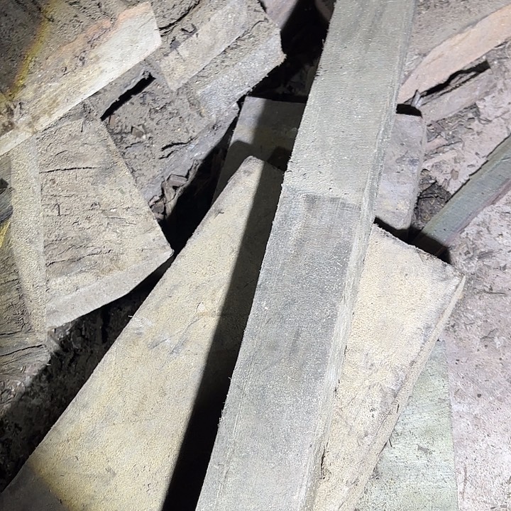 金丝楠啊啊啊啊啊啊啊