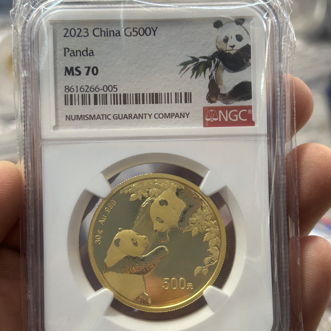 2023年普制币金猫一套57克带盒子证书02058