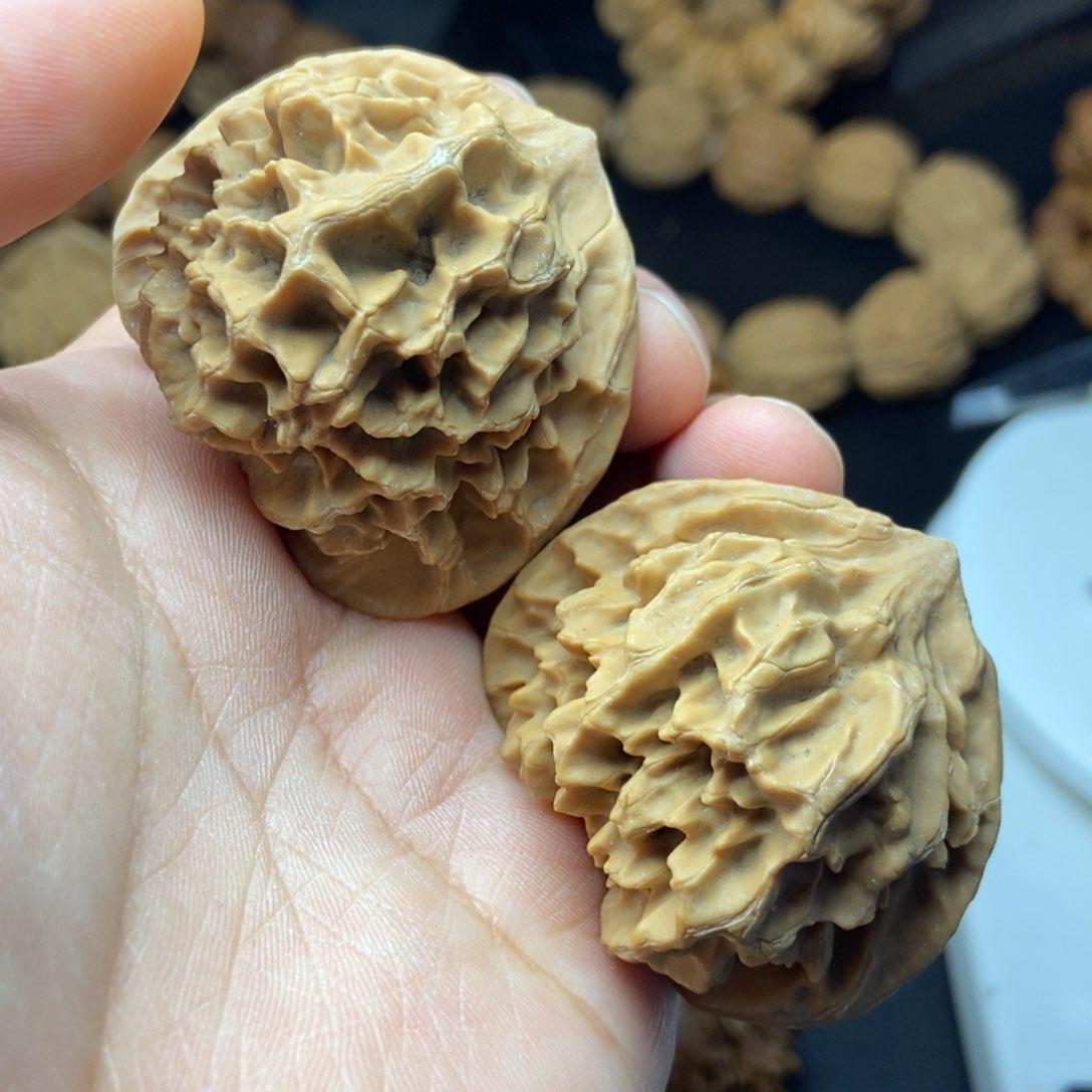 帝王大花4号链接4444444