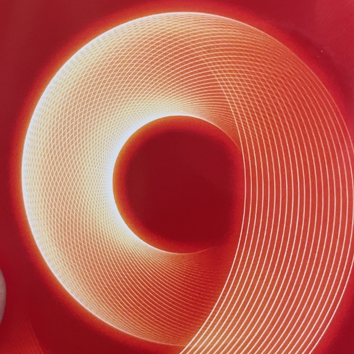 b***t塑料双冠SS79390001