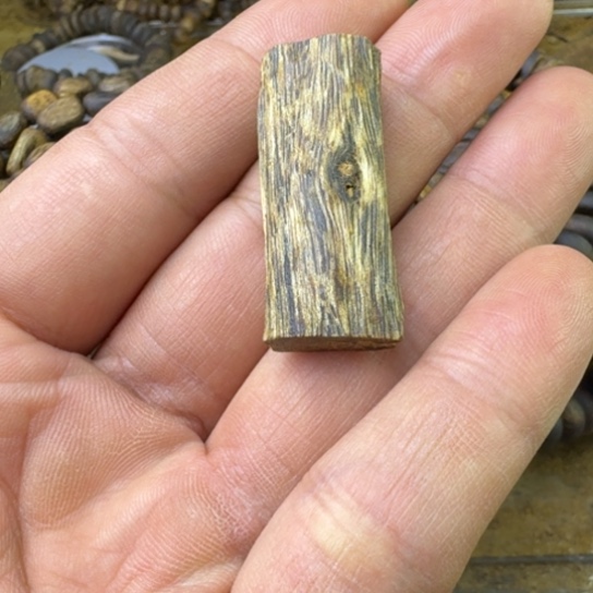 轻***读沉香沉香碎屑金沙叶树牌