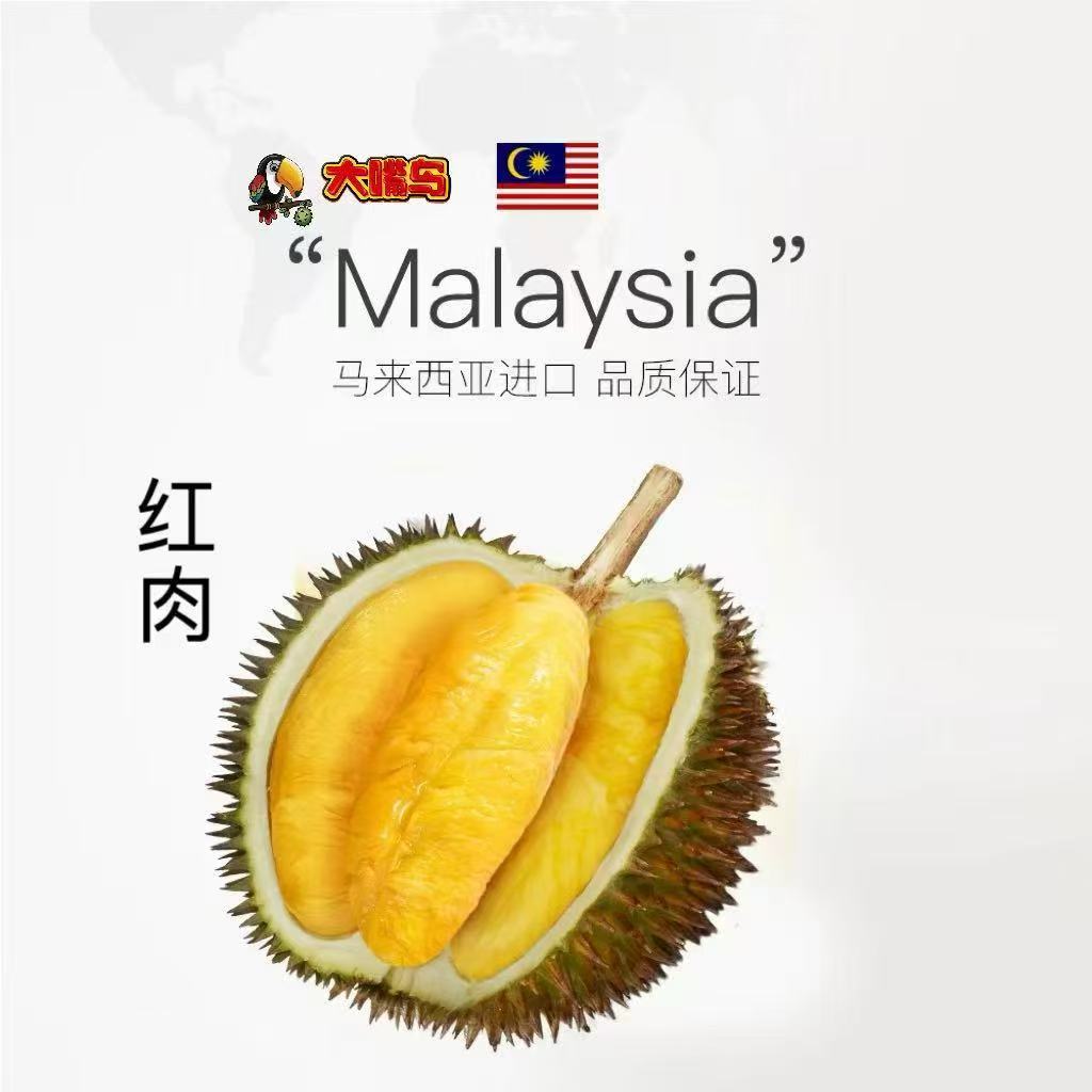 D101红肉榴莲马来西亚进口液氮锁鲜树熟顺丰包邮