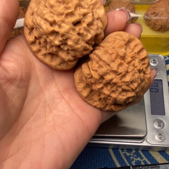 桃核吊坠龙鼎51全品