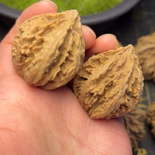 文玩核桃把件秦岭核桃9