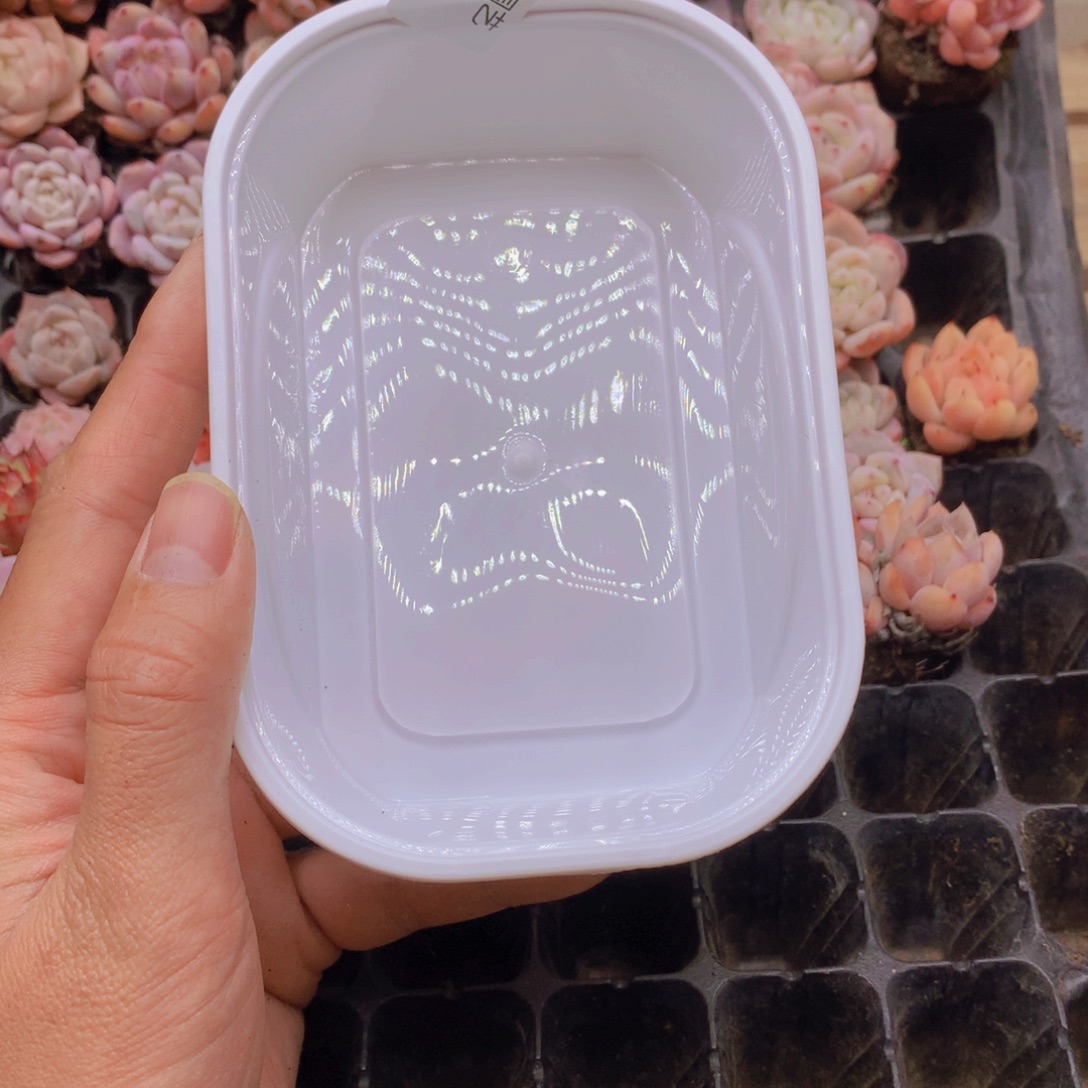 f***e我要去看你了啊014