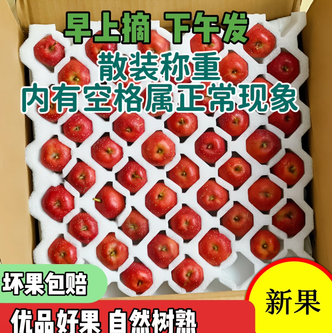 新鲜现摘现发大金星冰糖葫芦果酸甜可口甜红子大山楂