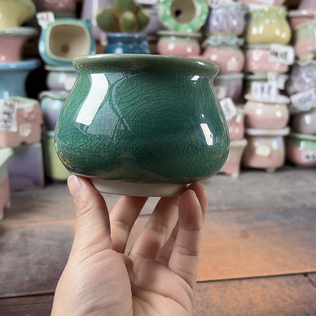 量货/8口高深浅搭配发4