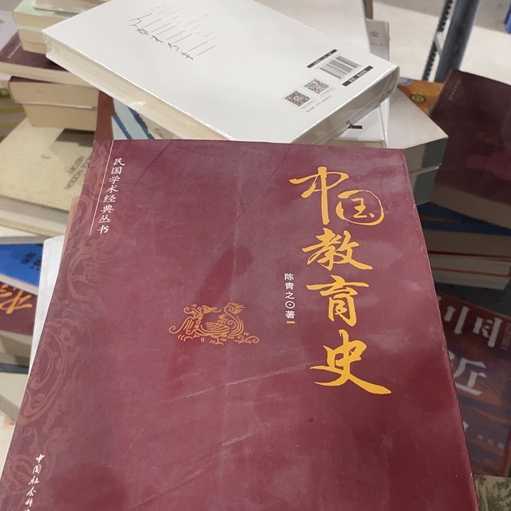 正版大厚本中国教育史