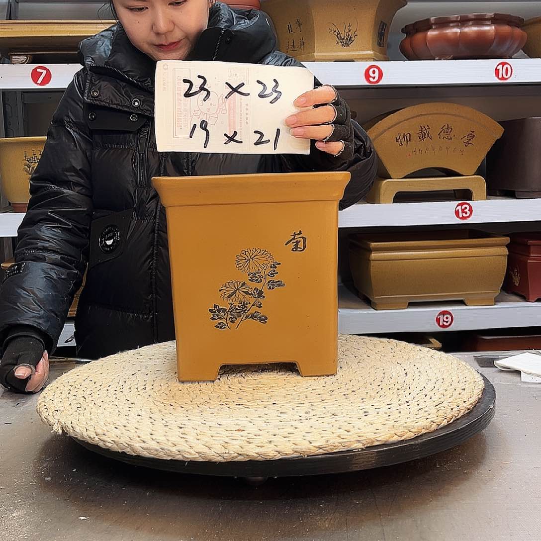 紫砂花盆紫砂花盆