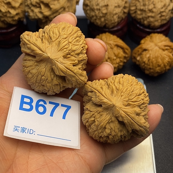 核桃南疆4.7，00000