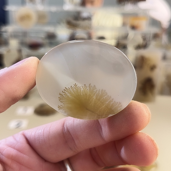 玛瑙/玉髓吊坠(不含链)未镶嵌