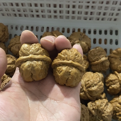 0***7把件文玩核桃哈哈哈哈