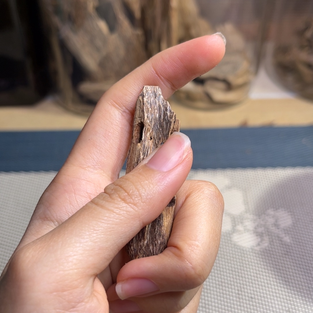 掩***耳沉香海南红油虫漏摆件8克换开播