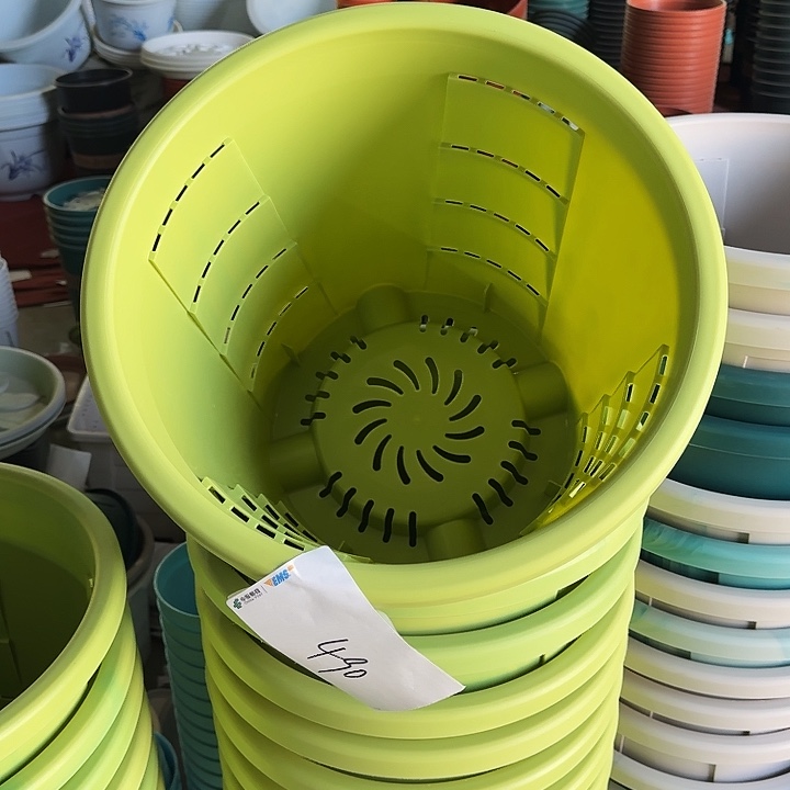 测40口径4个无托果绿串色无托