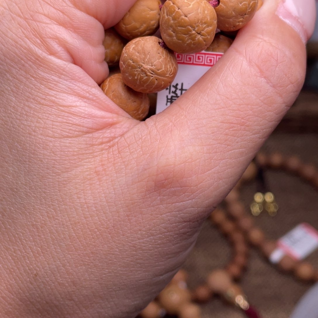 凤眼菩提手串菩提610