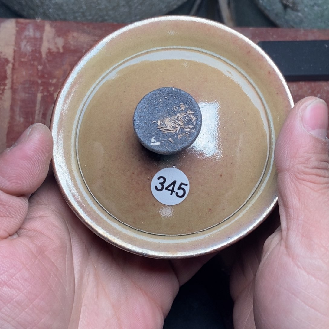 茶盏加油加油继续345