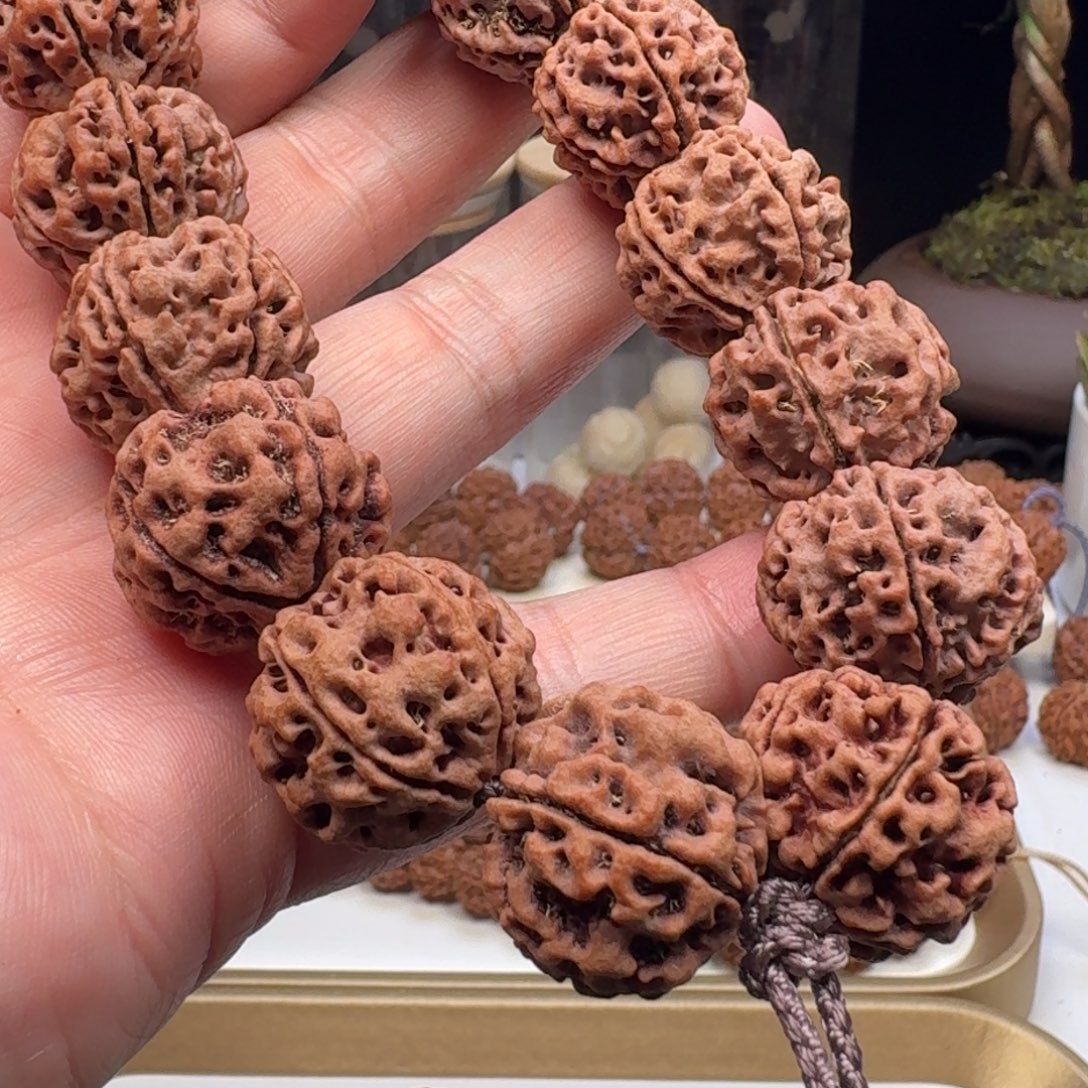 手串金刚菩提蜂窝双龙