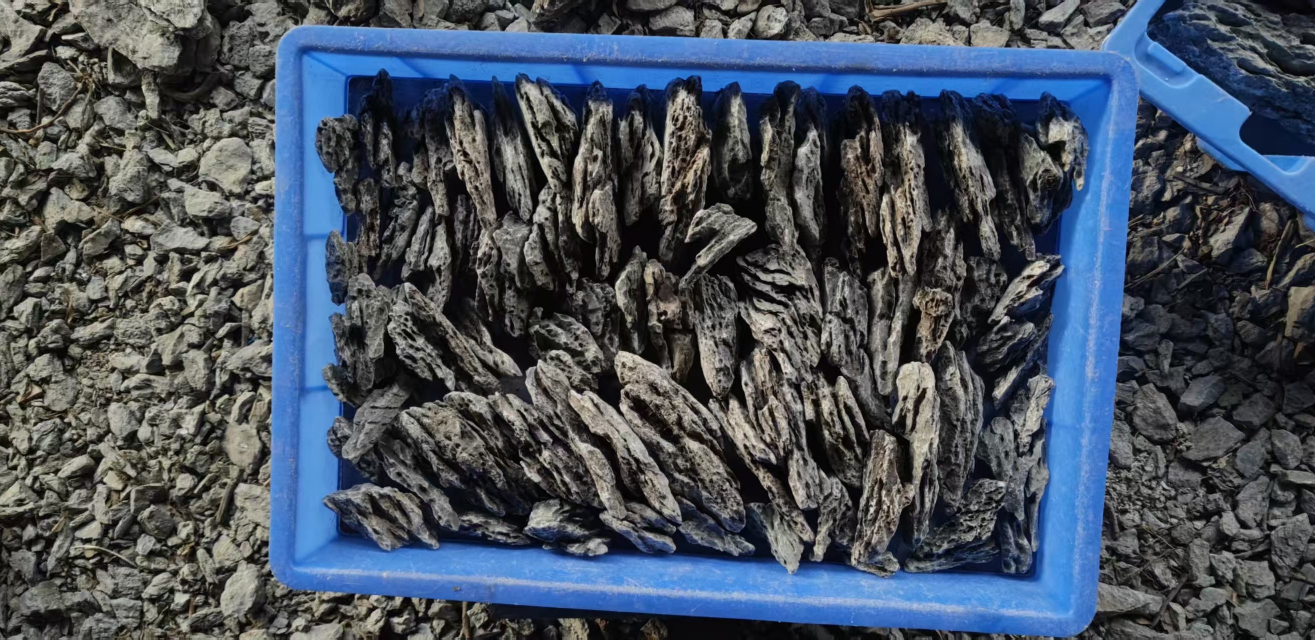 直播间（专属链接)造景青龙石