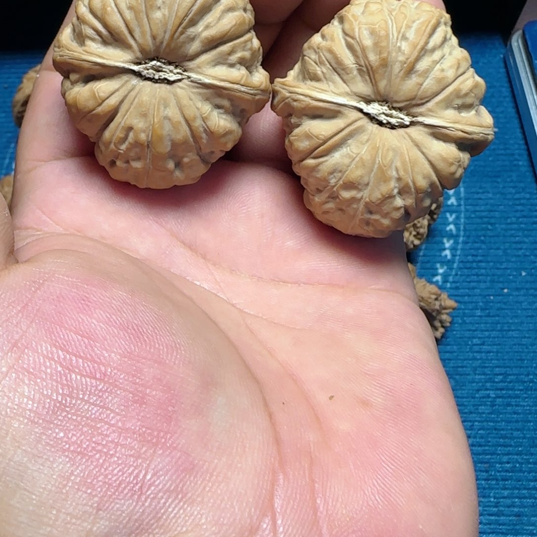 吊坠文玩核桃全品南瓜墩42