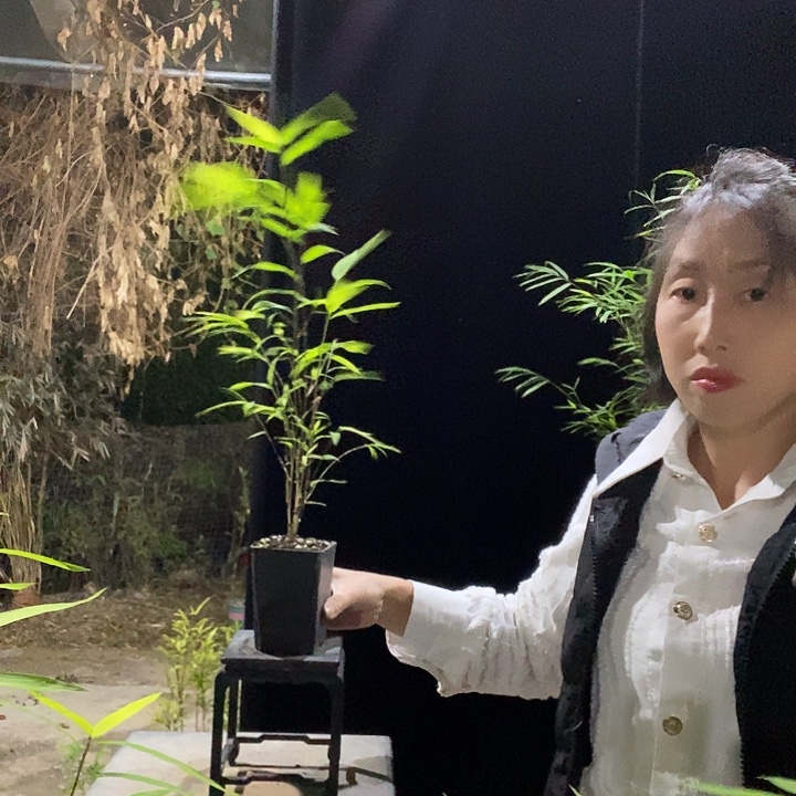 完全开放内门竹内门竹内门竹内门竹